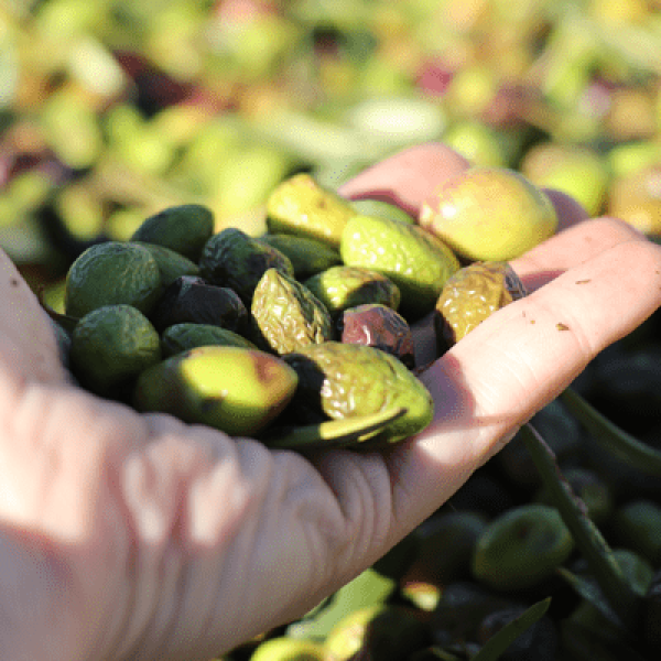 1903892cf2ad3c0d8a973a332d3e92d7