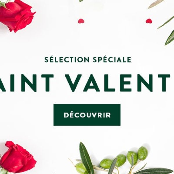 31db2e74a6fce527f344aa8c5b8562b4