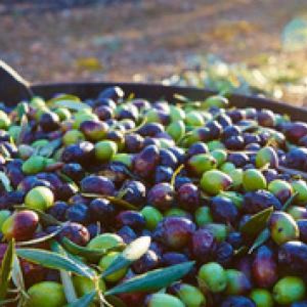 fotoliacomp_104415614_49s4vjm3youzanel5xkj5sow9isuwaor_nw40