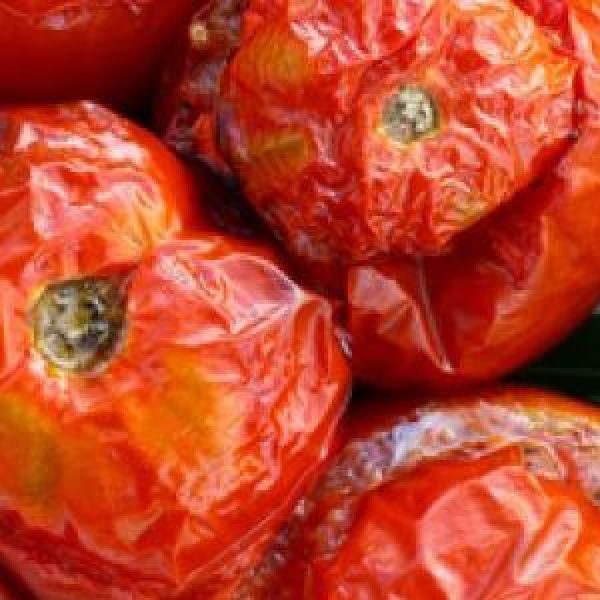 fotoliacomp_24744076_dcdruexac1khjywt1zcxgj5jumhddmng_nw40