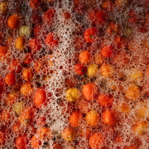 Réserve de Champlat